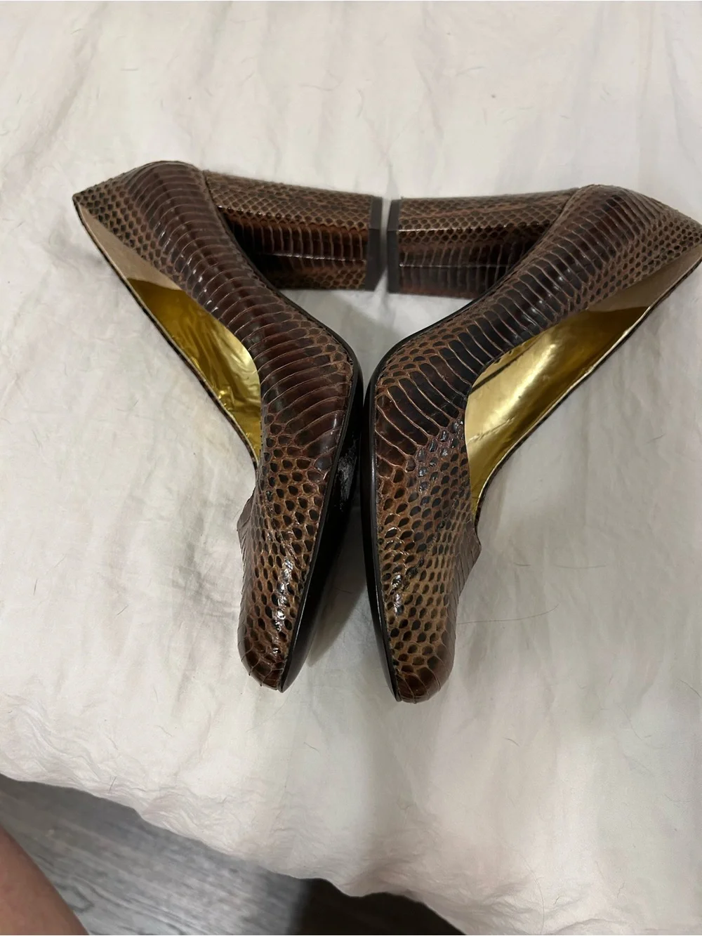 BCBGirls Brown Snake-Print Block Heel Pumps